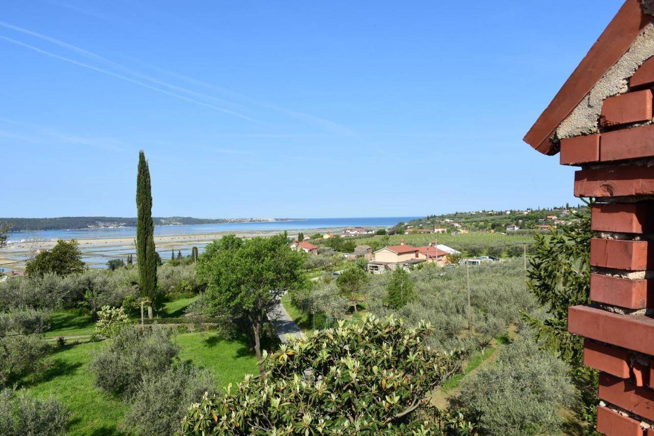 Apartment Pergola Portorose Esterno foto
